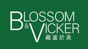 B&V in green background